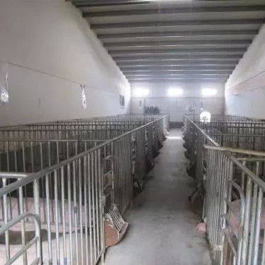 猪舍建造舍内环境要求及猪舍设计构造_生产_原则_排污