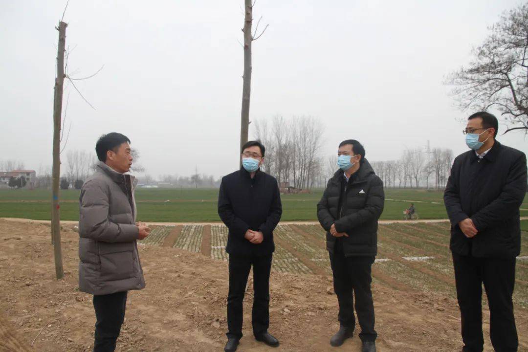 柘城县交通运输局孙文涛实地查看惠济河沿河路工程建设