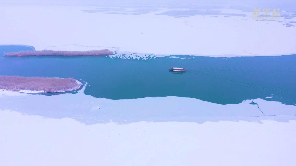 禹旭勇|一场大雪之后，大自然在宁夏沙湖描画出独特风景