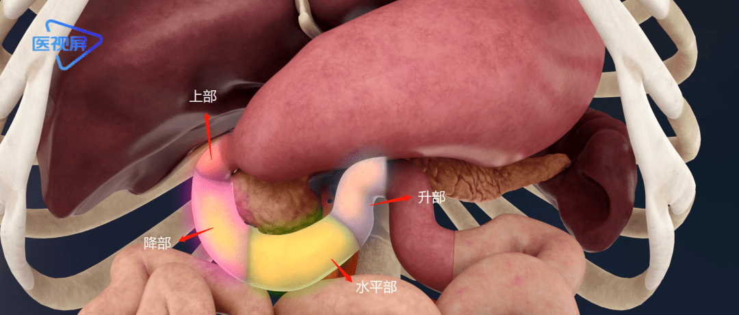 25cm捅到胃表情包图片