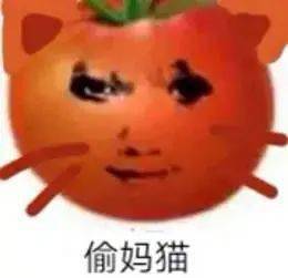 救命太沙雕了番茄偷妈头系列表情包