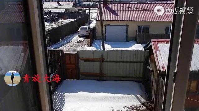 我为什么叫青旋大海因为青海湖的爱情故事