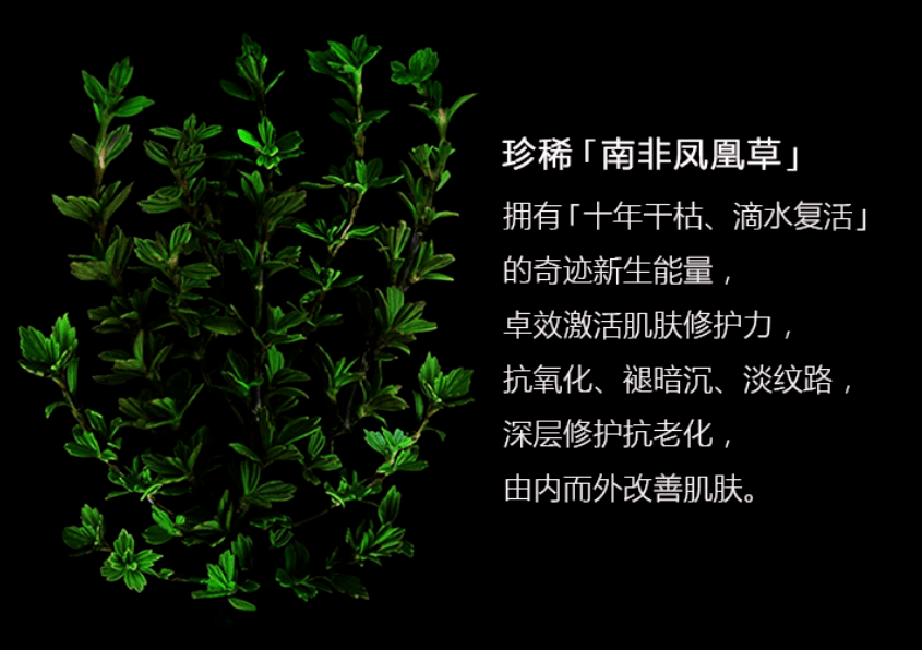 莱雅大侦探7回归，蓉拉美的小鹿眼好动人