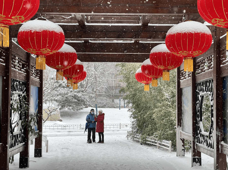 白雪|红灯映白雪，秒变“雪容融”！京城公园已吸引7万人次打卡