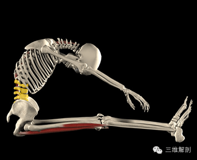 829f1b61720046b3b51d07a01dc4c830.png