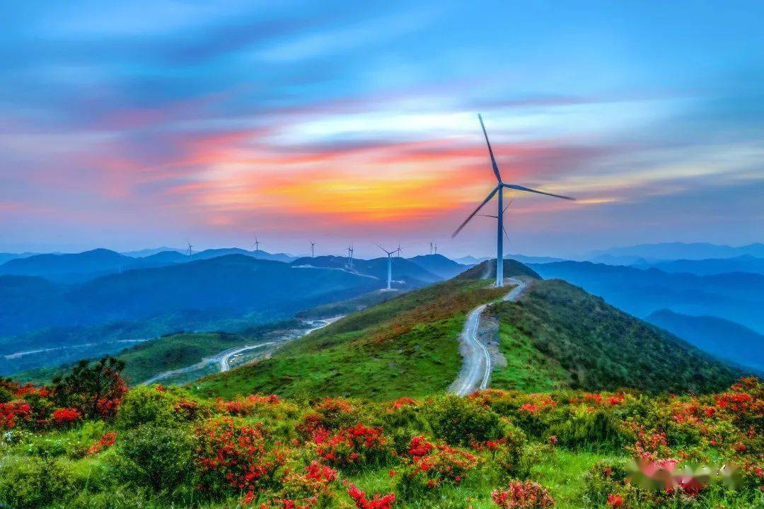 月宁德市古田县泮洋乡高岗摄影师 / 严振龙gu tian田德宁古▼摄影内容