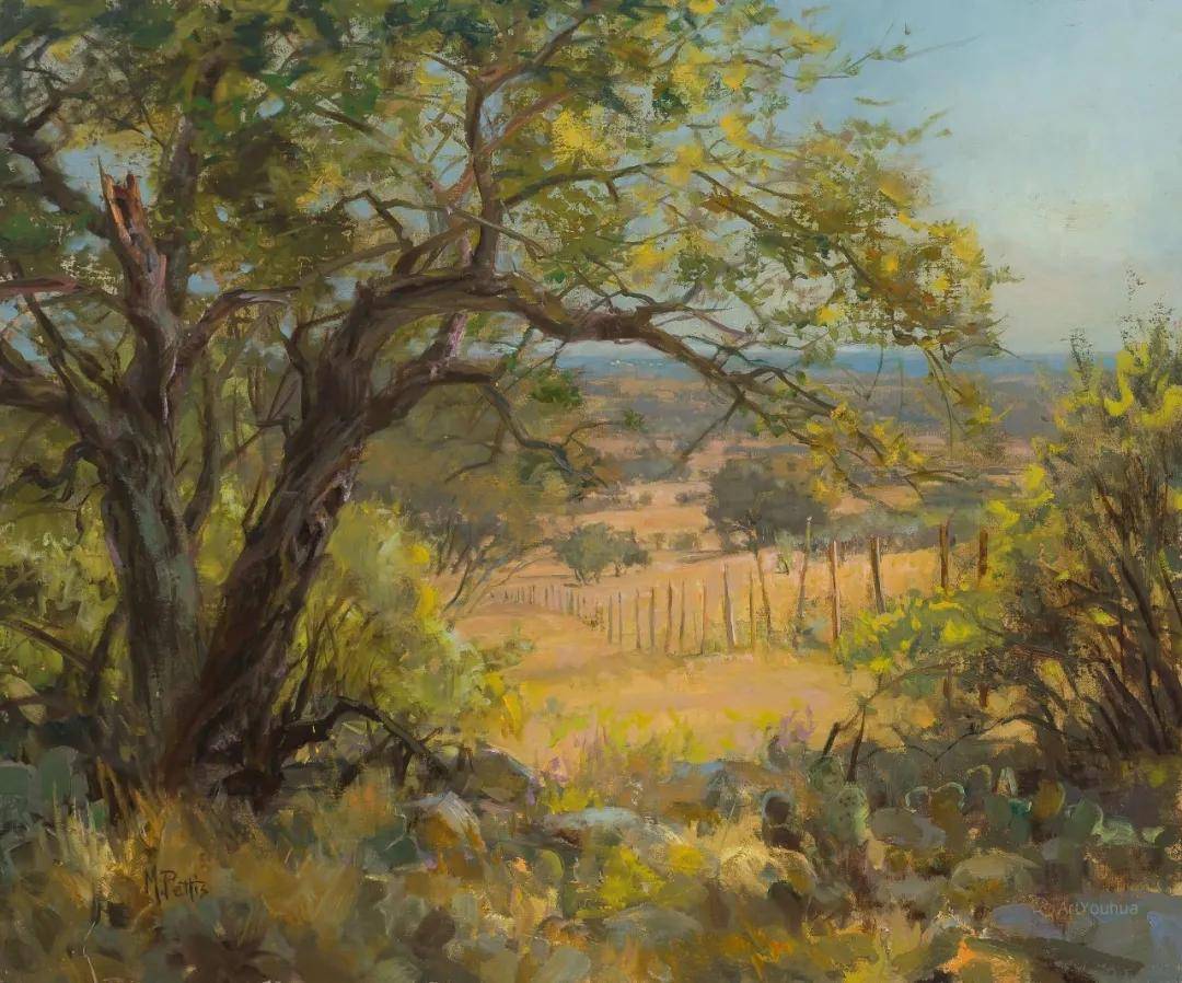 优秀的风景油画,作品里的光总是那么真实_玛丽·佩提斯_美国_pettis