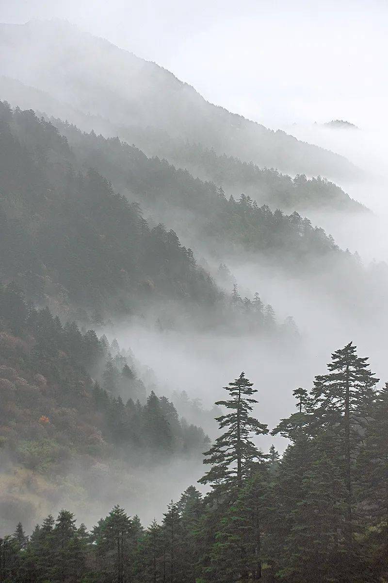 国风摄影那些孤独的大山住了李白王维陶渊明