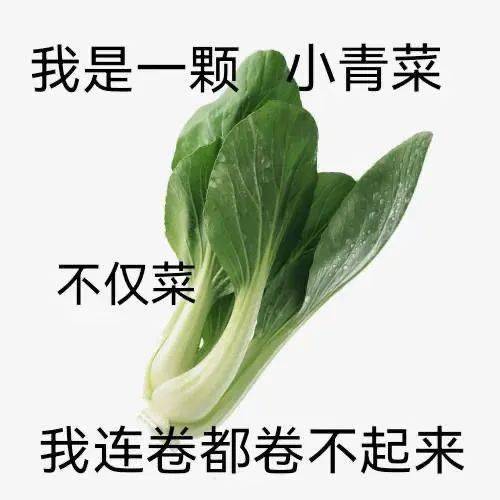 日常聊天表情包i我的小宝贝在吗