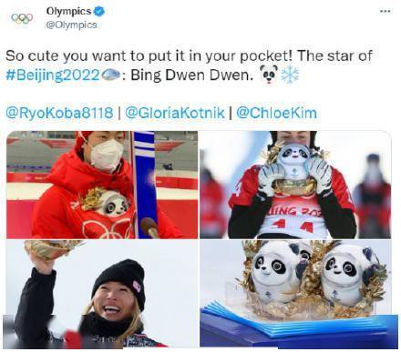 官方|冰墩墩实力“圈粉”，奥运会官方推特账号：这么可爱，让你想装进口袋里！