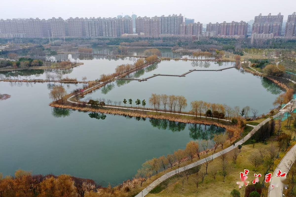 武汉这一公园成居民休闲打卡地_竹叶_金振强_硚口区