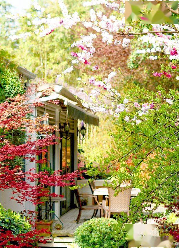 余生有个院子 只闻花香 不计流年 园艺 灵魂 成一首