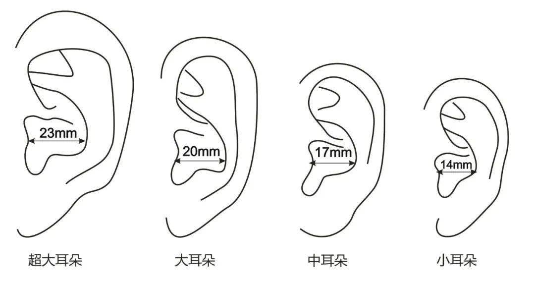 耳機人體工學方法秘籍_研究_耳朵_設計