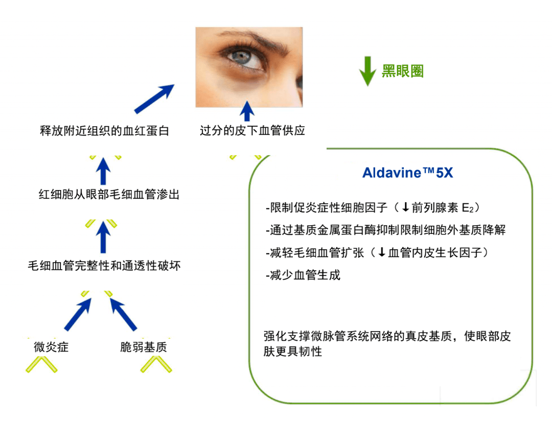 血管让配方师都说好的功效型眼霜，到底有多厉害？