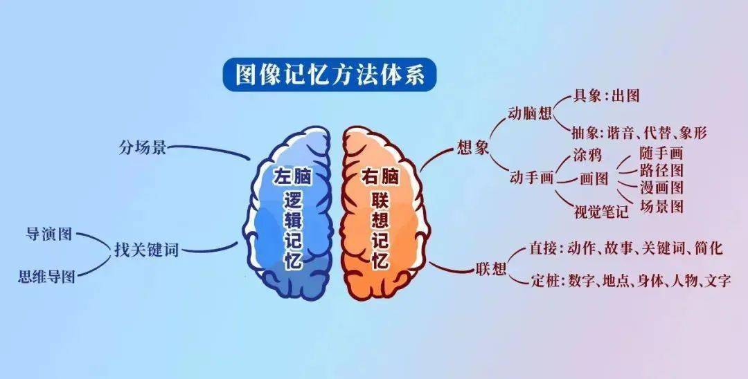 图像记忆方法体系 你想了解的各种记忆方法和技巧都在这里啦