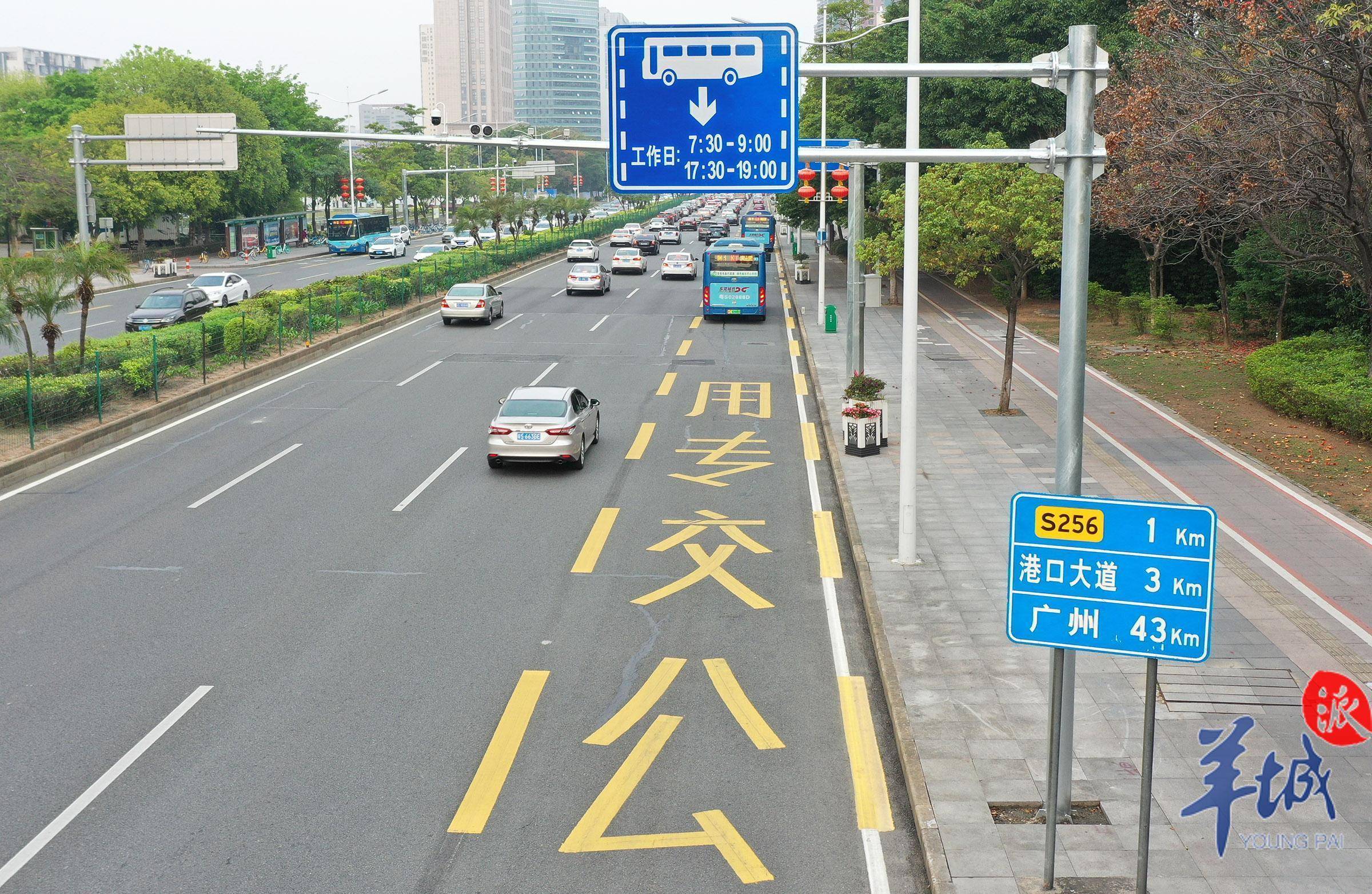 东莞公交专用道启用半月公交车通行效率明显提升