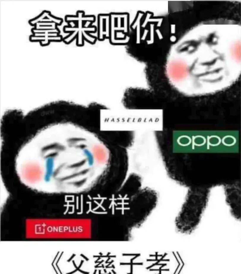 系列|【官宣】?OPPO联名哈苏相机 一加...留给相机厂商的手机不多了