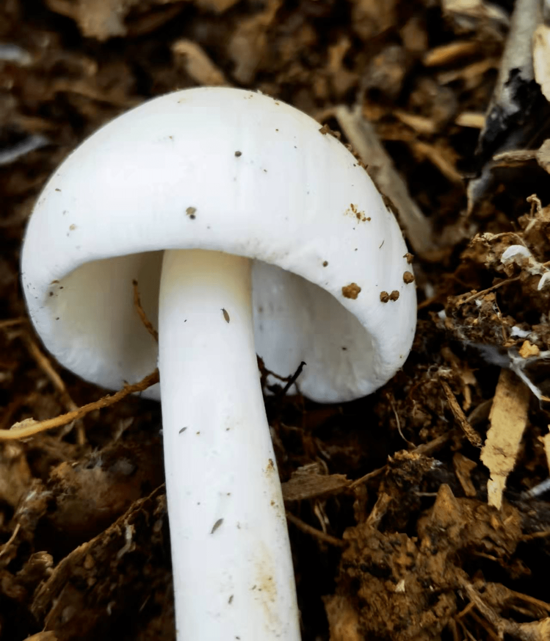 警惕!梅州4人疑似中毒...正全力救治中_搜狐网