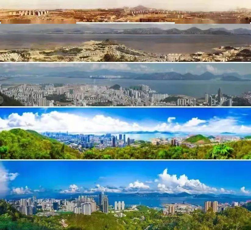 消失的蛇口工业区城邦文明下的公民社会