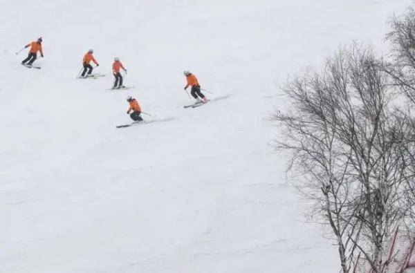 滑雪|又现“扫地僧”！网友：下届冬奥冠军可能来自“滑雪医生”
