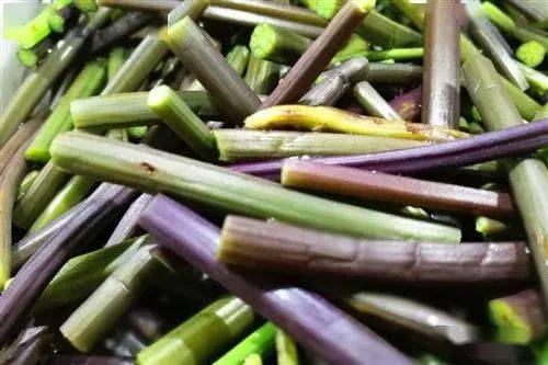 立春之后这6种野菜正鲜嫩不仅好吃对身体的好处也很多