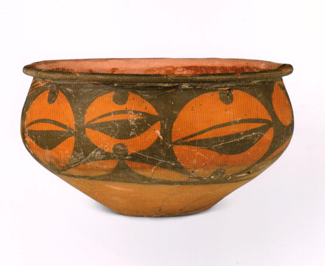 大地湾遗址出土的陶器上发现的