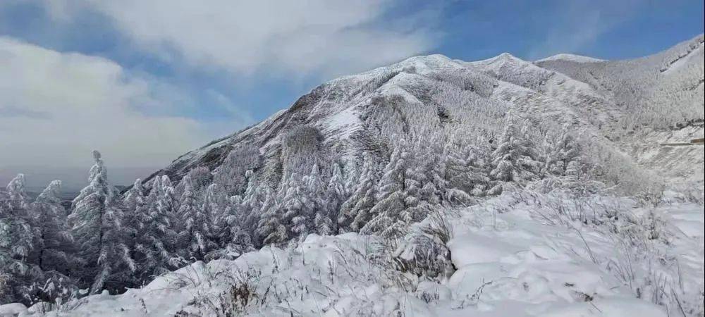 在寧夏高海拔山區,當霧和水氣經冷風吹拂,就會形成絕美的霧凇奇觀.