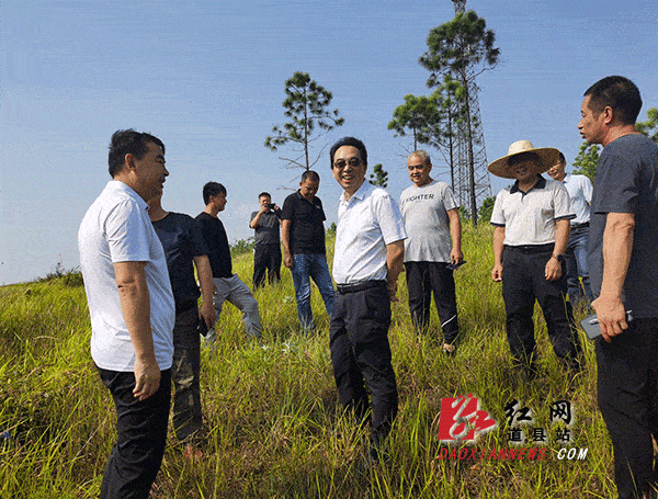 —道县科技专家服务团为民服务纪实