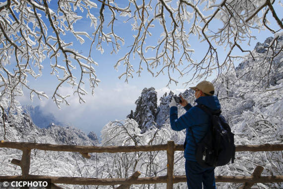 游客|飞雪迎春到