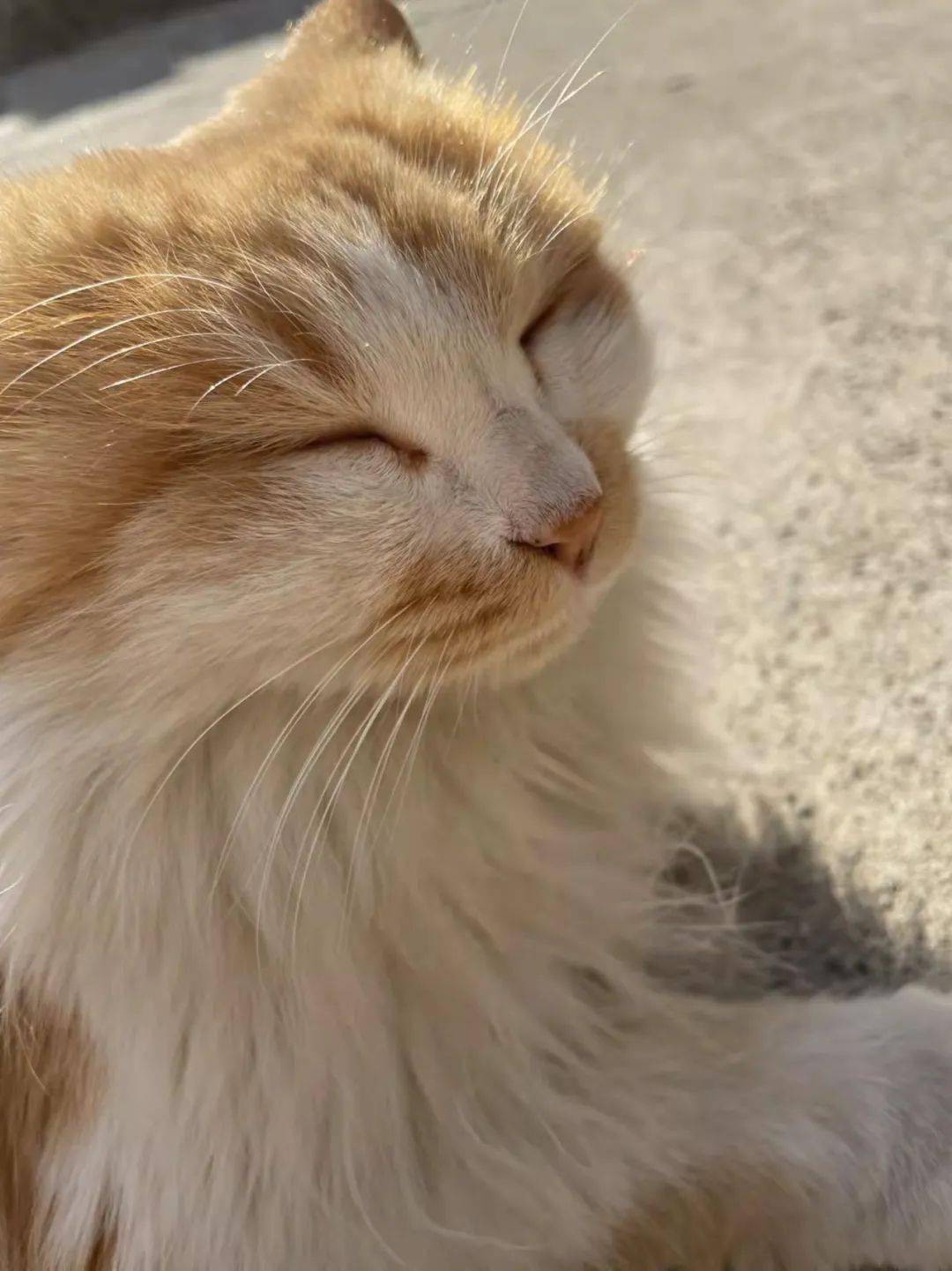 你可以爱上新医的若干个理由_学子_美食_月湖