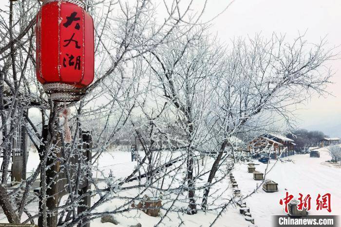 白雪|湖北神农架：白雪苍茫宛如仙境