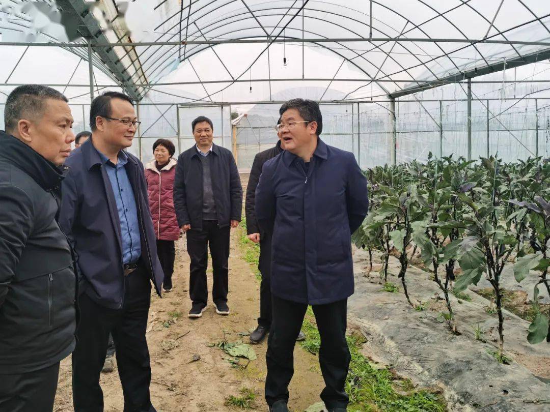 刘定辉带队到于都县调研_产业_发展_生产