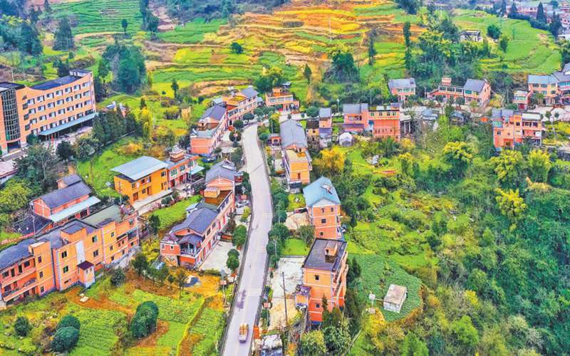 2月12日,綦江区安稳镇崇河村,一幢幢红墙黛瓦的农房,错落有致,一条