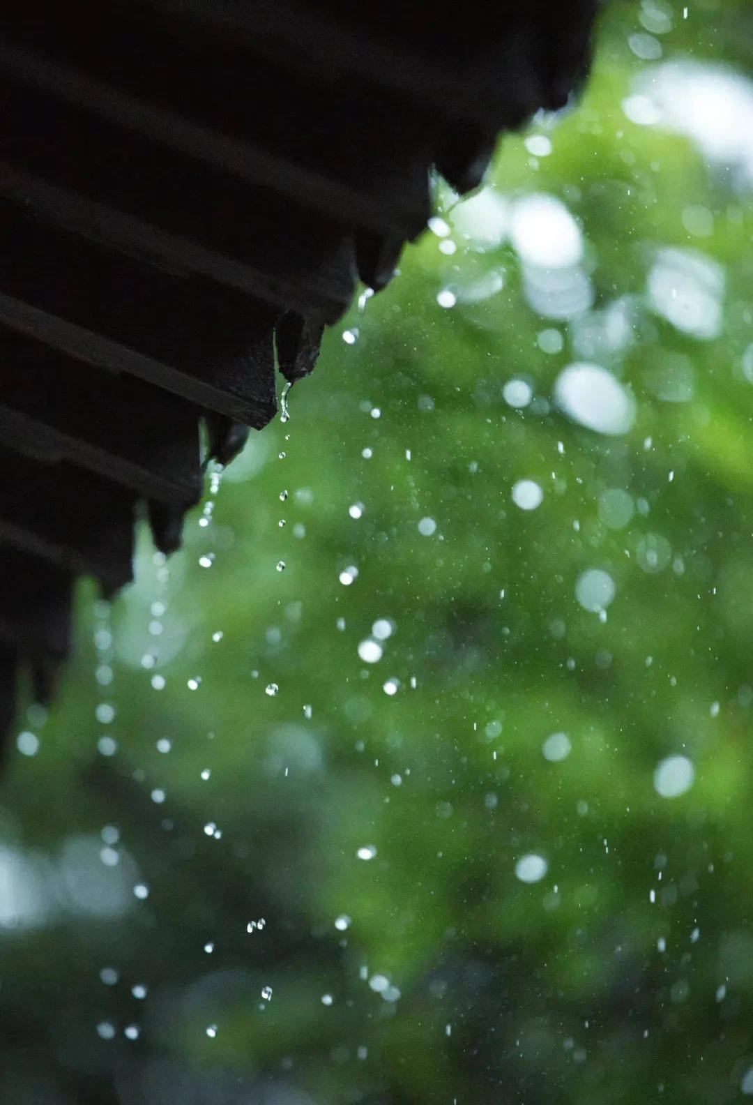 雨水