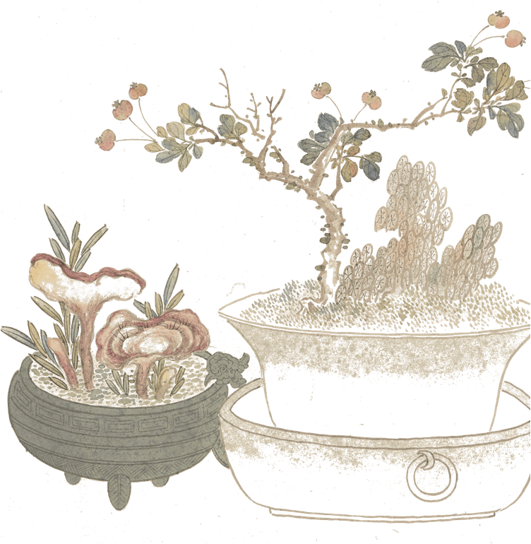 节日|二十四节气，一年说到头