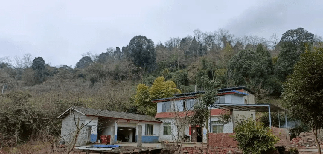 成都农村两套农村房子面向市民出租有人担心大熊猫会进院子