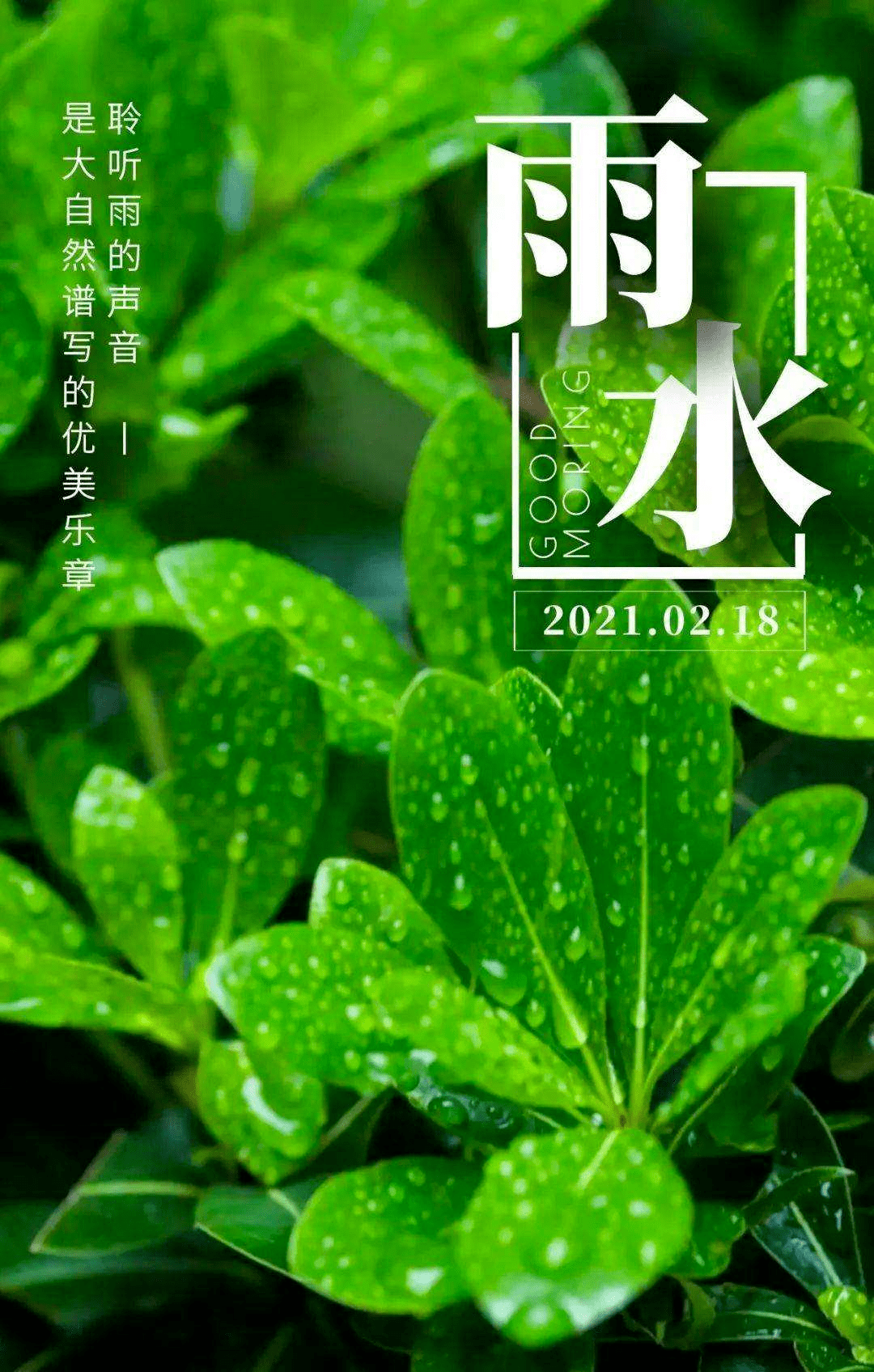 【二十四节气|雨水】春雨贵如油_拜寄_保保_岳母