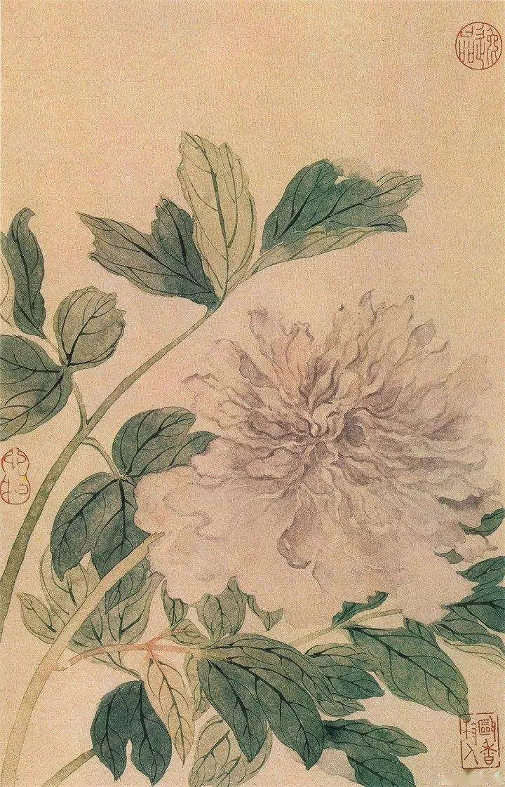 恽寿平235幅没骨花鸟画精品欣赏_南田_王翚_常州