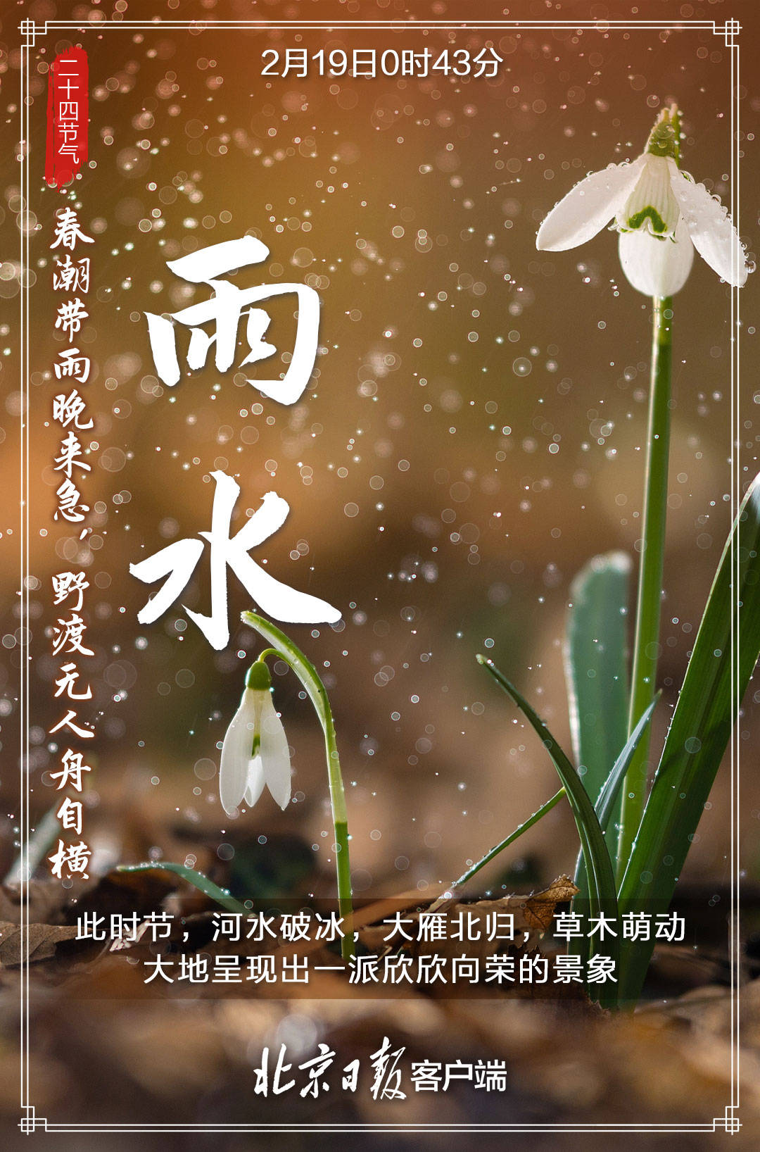 来袭|多张海报来袭！今日雨水，春天越来越近，让我们一起等待花开