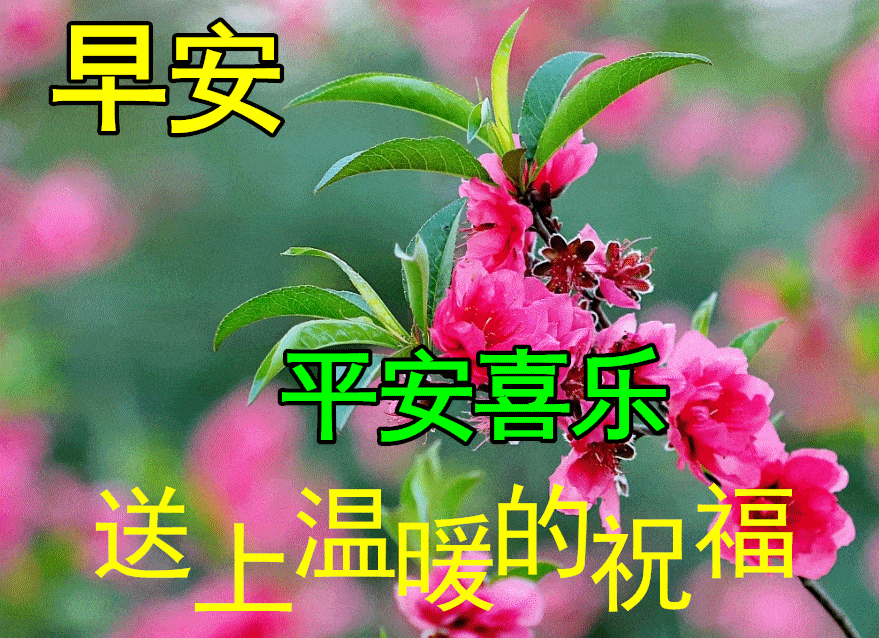 2月19日早上好祝福语图片大全问候动态表情图片大全