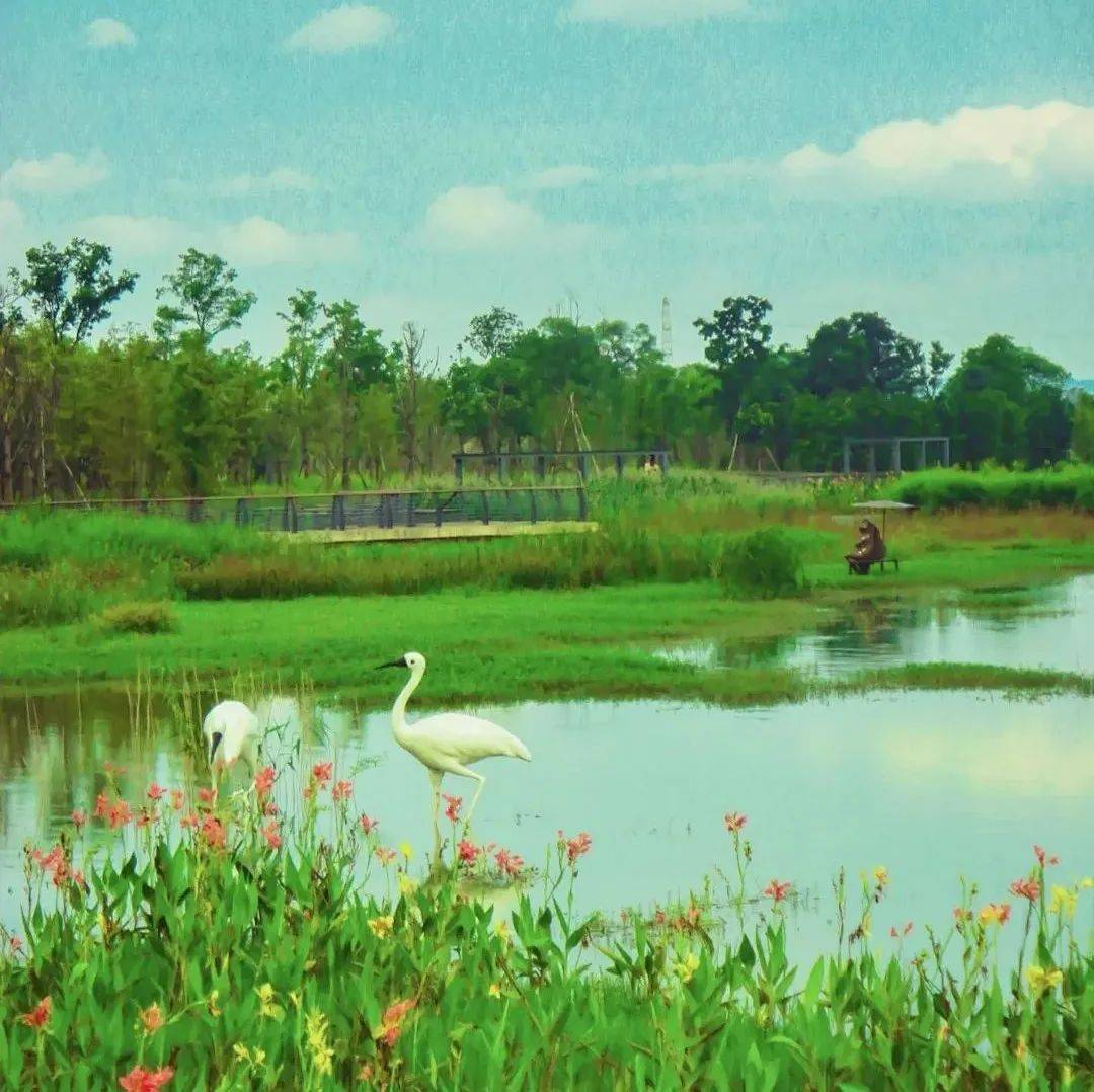 走进都兰湖国家湿地公园 体验别样的诗意风景 - 西部网（陕西新闻网）