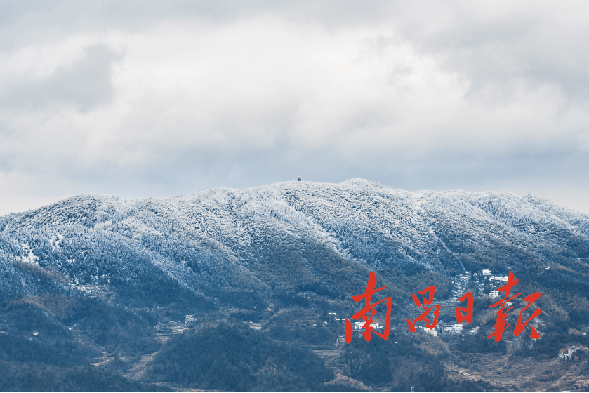 梅岭雪图片