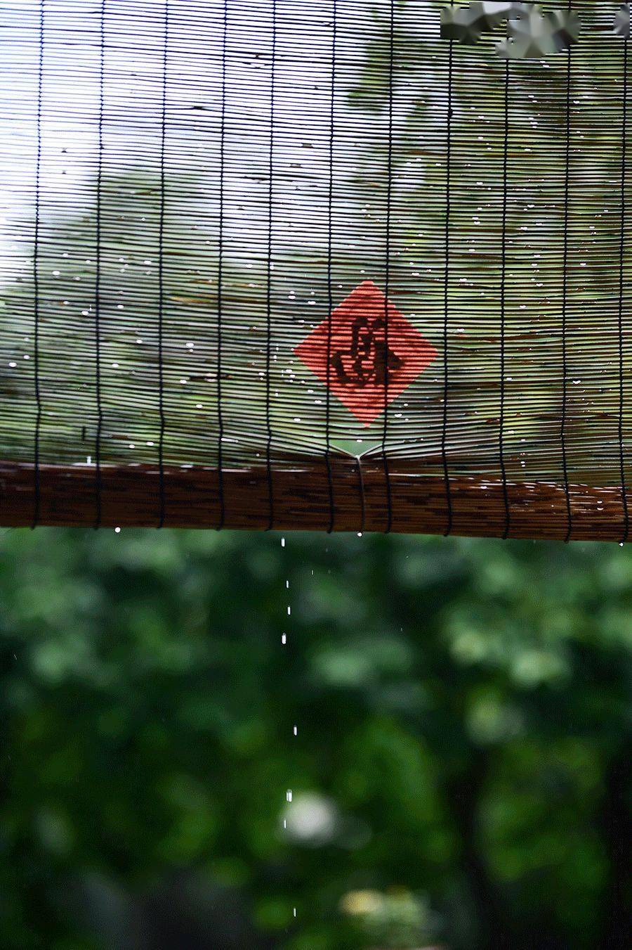 节气|今日雨水：好雨知时节，当春乃发生