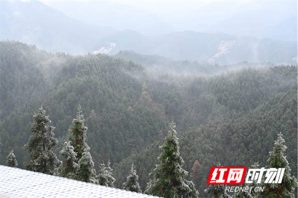 冰凌|湖南蓝山：虎年开春降瑞雪