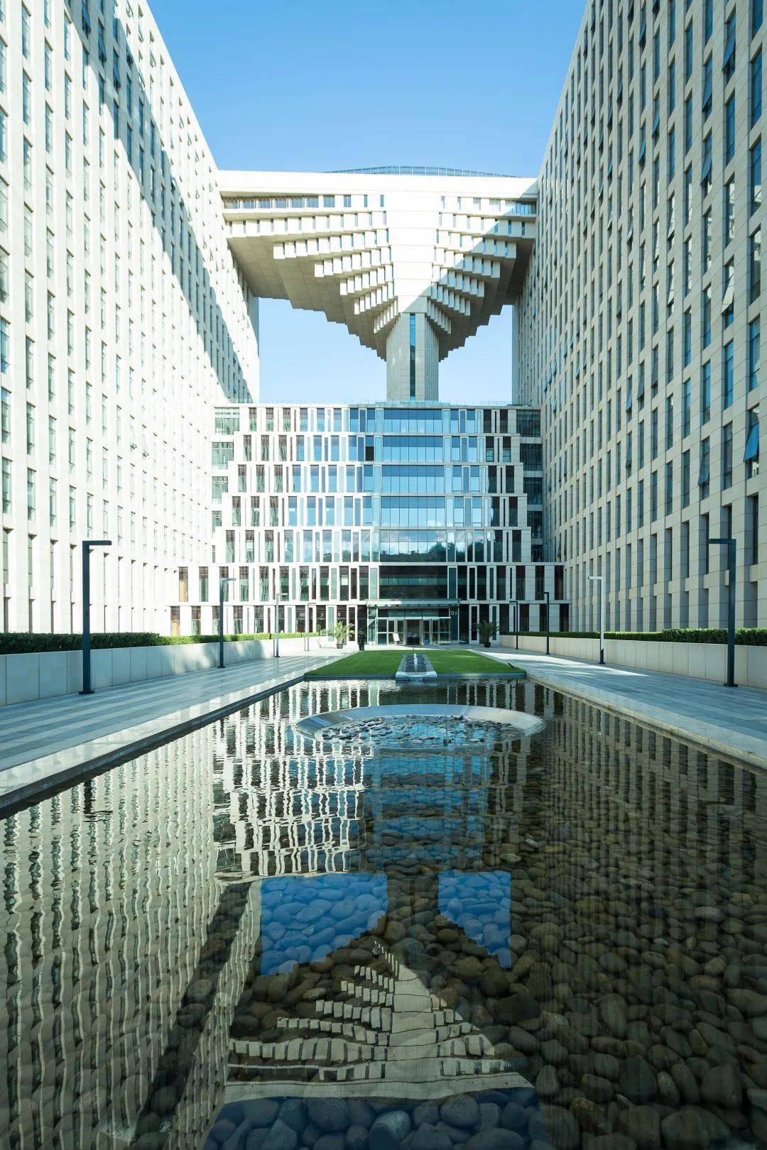 招聘丨北林园林学院诚邀海外优秀人才申报海外优青项目