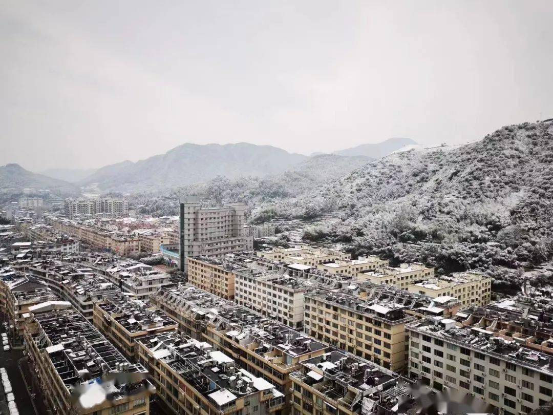 下雪啦～您有一片雪花待查收!_泰顺_道路_天气