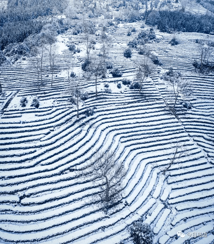 屏边大围山雪景图片