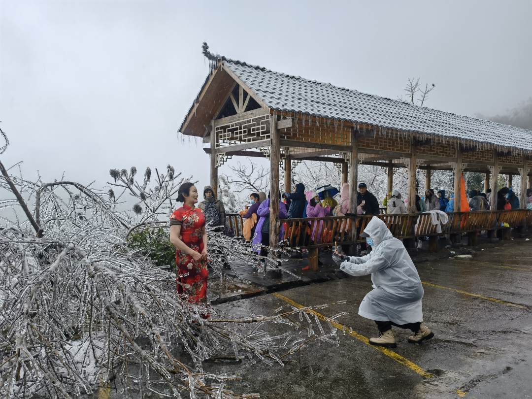 山群峰|【粤看粤美】银装素裹岭南金子山