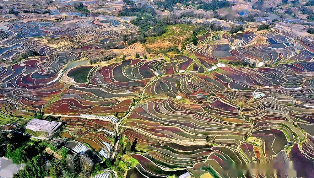航拍云南元阳箐口梯田