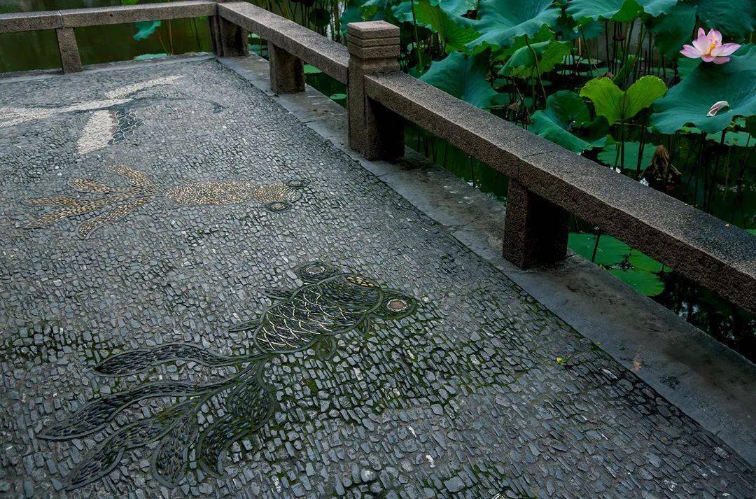 海棠|地上织绣，苏州园林的花街铺地